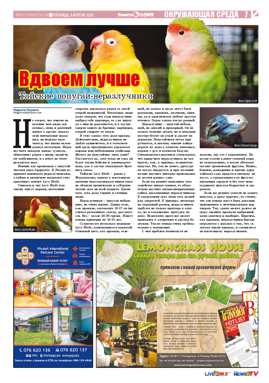 Phuket Newspaper - 03-04-2020 Page 7