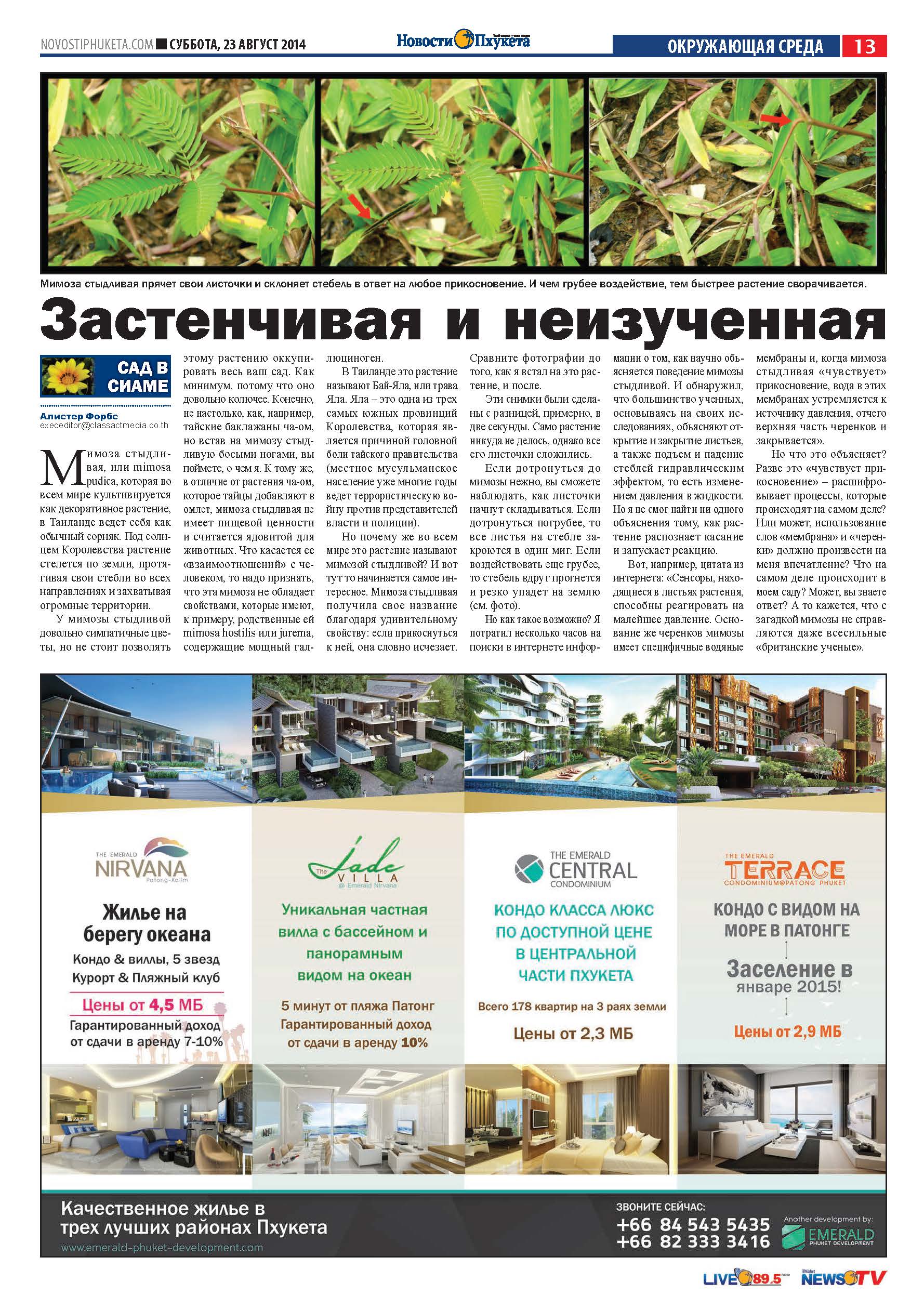 Phuket Newspaper - 23-08-2014 Page 13