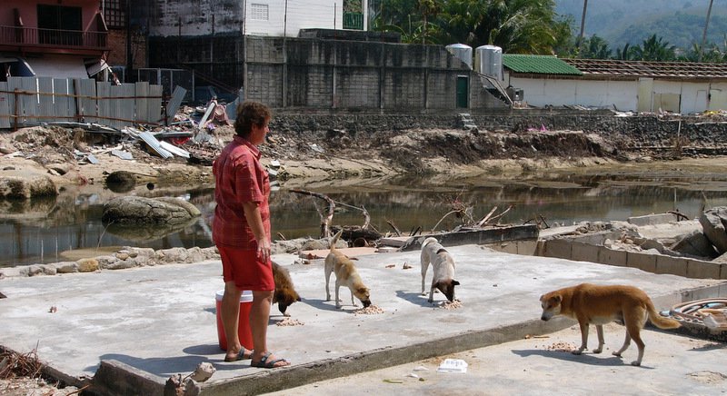 Ушла из жизни активистка Soi Dog Ивонн де Хаай Штекеленбург