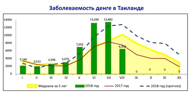 С начала года от денге в Таиланде погибли 65 человек