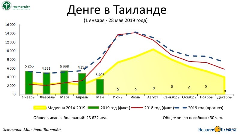 Российских туристов предупредили о денге в Таиланде