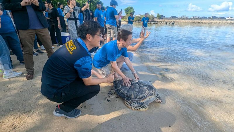 Зеленых черепах выпустили в море на Пхукете